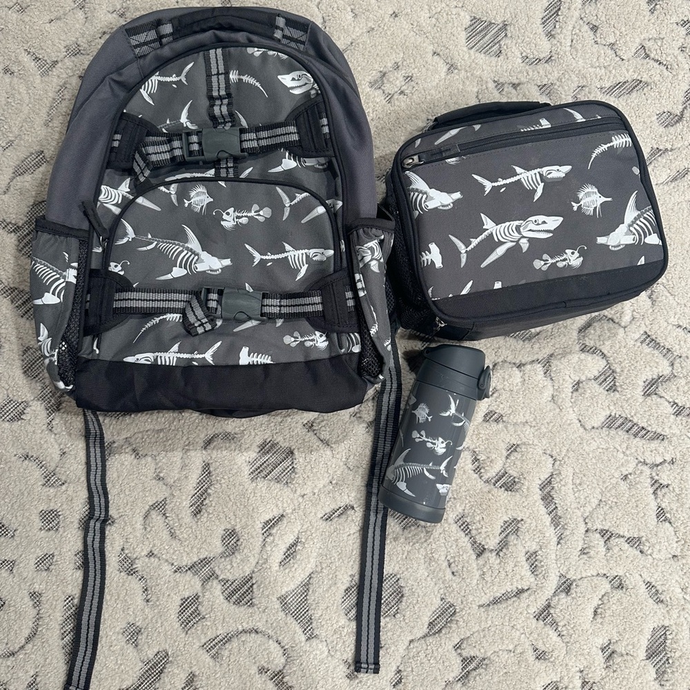 Pottery Barn Kids Backpack Large and Lunchbox